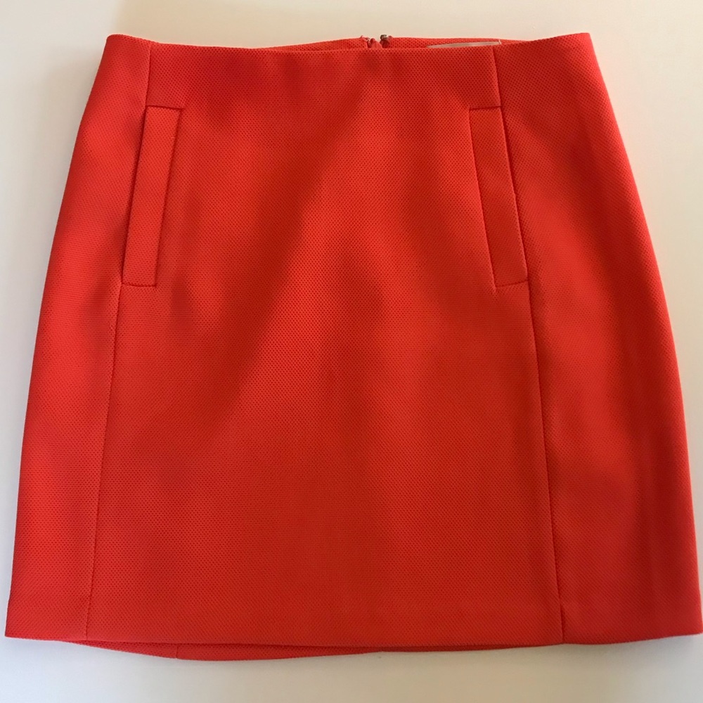 Banana Republic Skirt